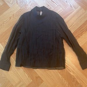 Sheer, black, long-sleeved mockneck top from Zara, size medium.